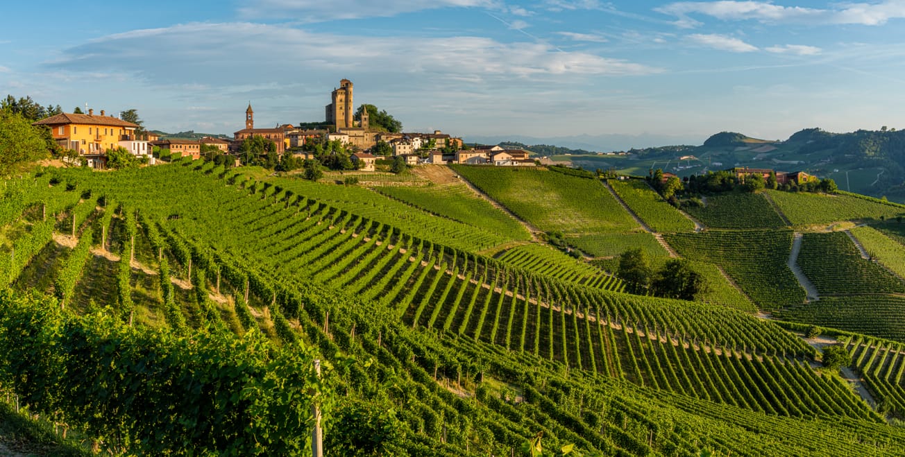 Understanding Piedmont:  A Journey Through Italy’s Wine Heartland