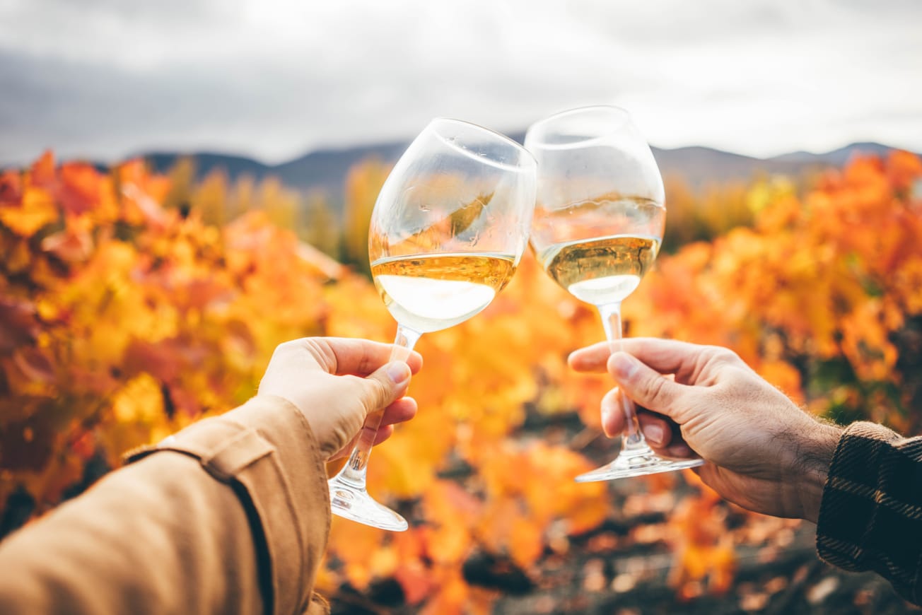 Wines For Fall
