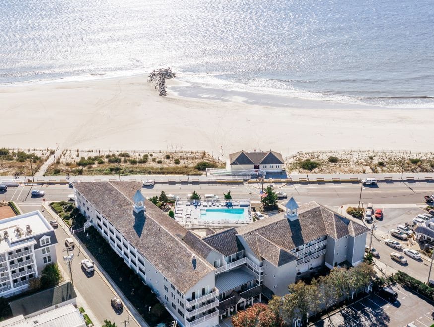 Winter’s Hidden Luxury: Birding, Wildlife, and Gourmet Dining in Cape May’s Secret Season
